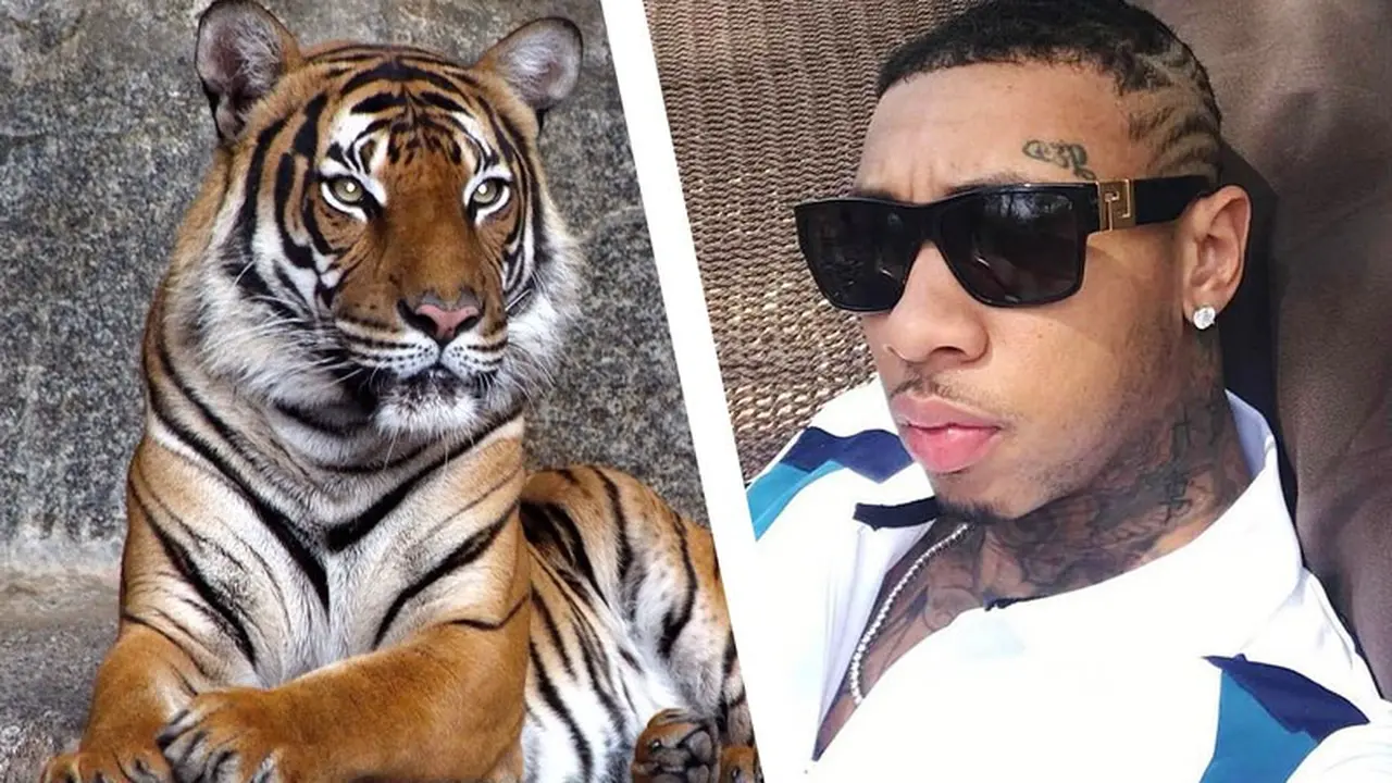 Macan Menginspirasi Gaya Rambut Terbaru Tyga