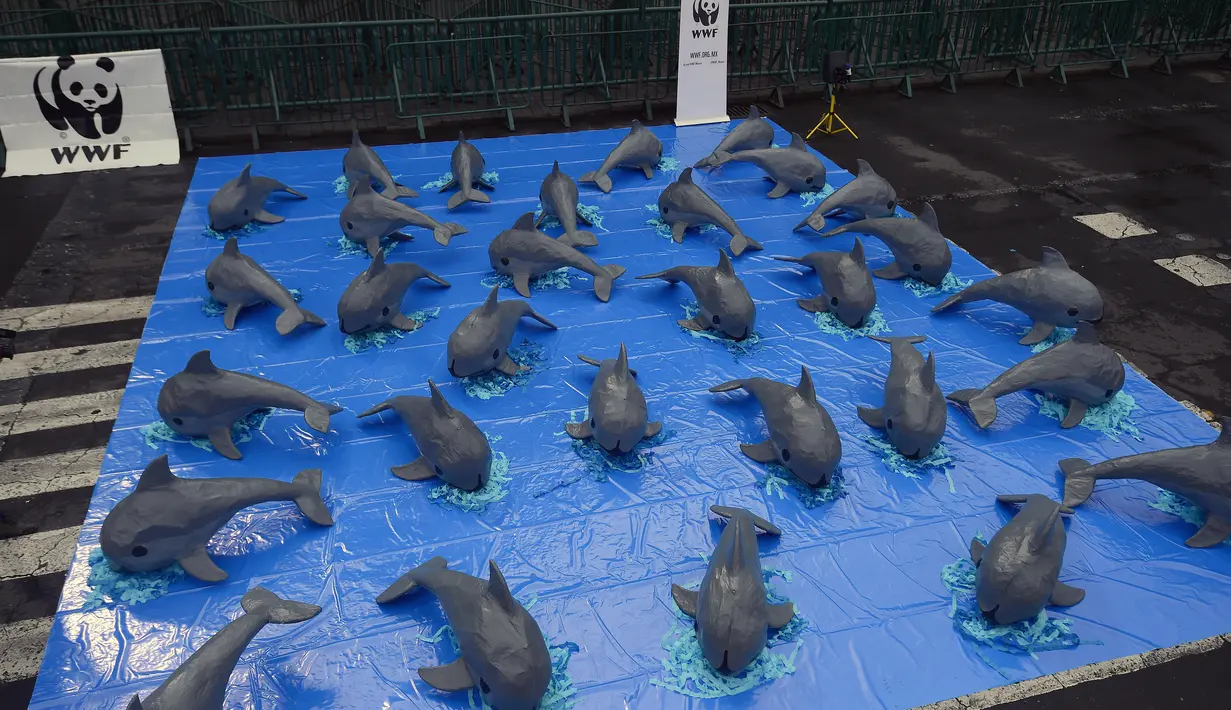 Replika dari lumba-lumba jenis Marina Vaquita dipamerkan saat aksi menuntut perlindungan spesies langka tersebut dari perburuan liar, di depan Istana Nasional di alun-alun Zocalo di Mexico City, Sabtu (8/7). (AFP/ Alfredo E)
