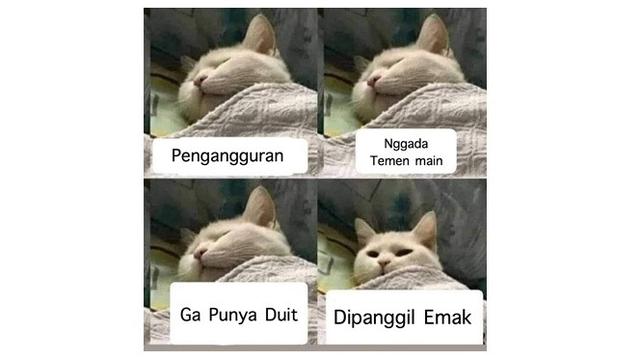 7 Meme Cara Bangun Mendadak dari Tidur, Bikin Ikut Mengangguk
