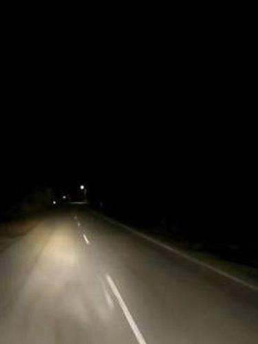 Kisah Seram Sopir Truk Beli Mi Goreng di Malam Hari, Tak Sadar Kembaliannya Daun Kering