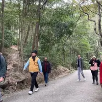 Forest bathing atau ‘mandi hutan’ menjadi salah satu rekomendasi aktivitas outdoor yang menarik dan wajib dicoba selama momen liburan di Hong Kong. [Dok/FIMELA/Hilda Irach].