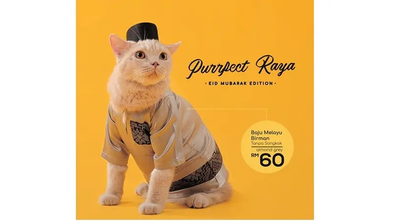 Tak Hanya Manusia, Kini Kucing Bisa Miliki Baju Lebaran Sendiri