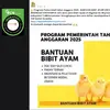 Deretan Hoaks Berkedok Bantuan Pemerintah, Awas Jangan Terjebak