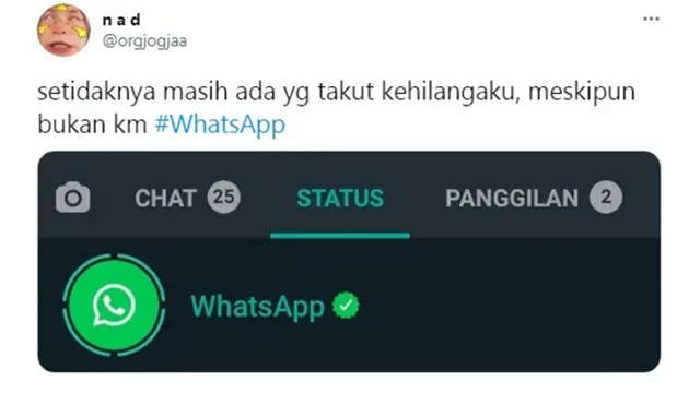 7 Curhatan Netizen Soal Status dari WhatsAppa Ini Bikin Tepuk Jidat