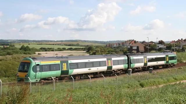 Ular Jagung Bikin Heboh