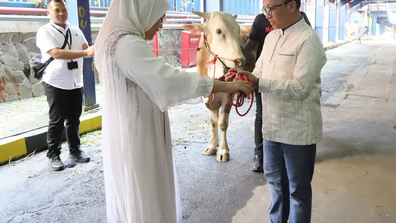 Kementerian Ketenagakerjaan melakukan penyembelihan 40 ekor hewan kurban, terdiri dari 34 ekor sapi dan 6 ekor kambing, di Jakarta, Kamis (29/6/2023).