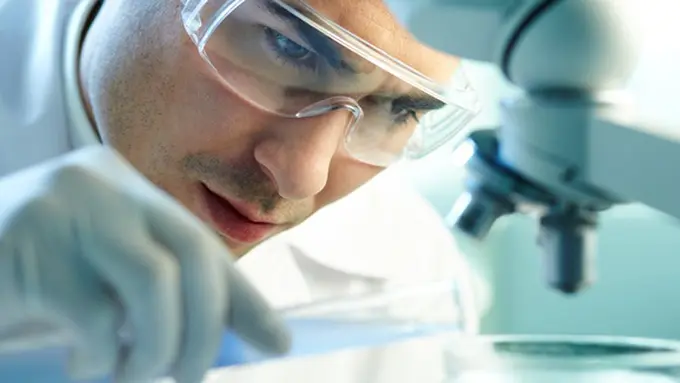 (c) shutterstock.com