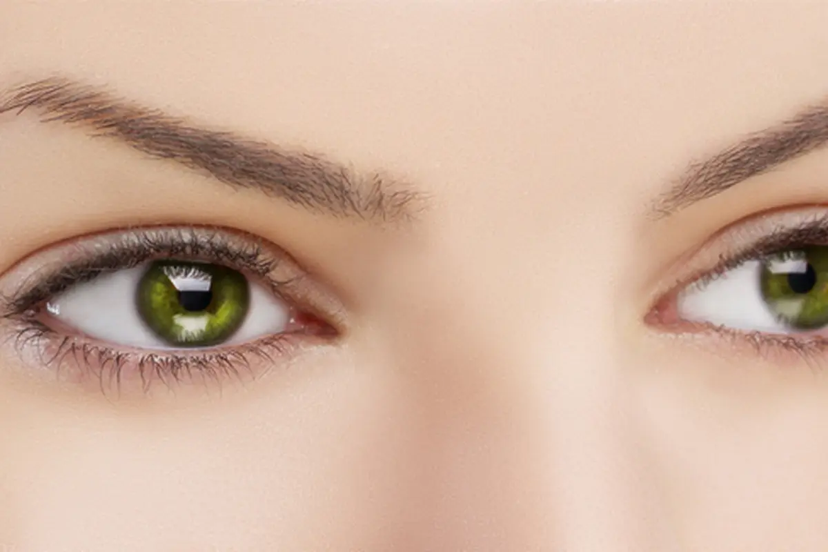 courtesy shutterstock