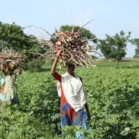 Ilustrasi perempuan pedesaan. Foto: unsplash.com.