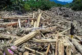 Hingga Kamis 4 Desember 2025, tumpukan material kayu gelondongan masih terlihat dan mulai dimanfaatkan warga sebagai material untuk membangun kembali rumah mereka yang rusak. Tampak dalam foto, warga desa memotong batang kayu yang hanyut akibat banjir bandang di Garoga, Provinsi Sumatra Utara, pada Kamis 4 Desember 2025. (YT HARIONO/AFP)