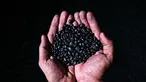 Seorang pria memeriksa biji kopi robusta, dipanggang menggunakan metode tradisional Aceh sebagai bagian dari sebuah usaha kecil, di Krueng Barona Jaya di provinsi Aceh (21/1/2022). (AFP/Chaideer Mahyuddin)