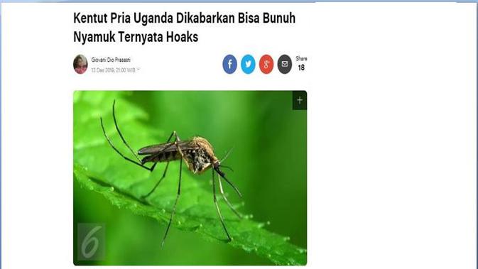 [Cek Fakta] Kentut Pria Asal Uganda Ini Bisa Matikan Nyamuk, Benarkah?