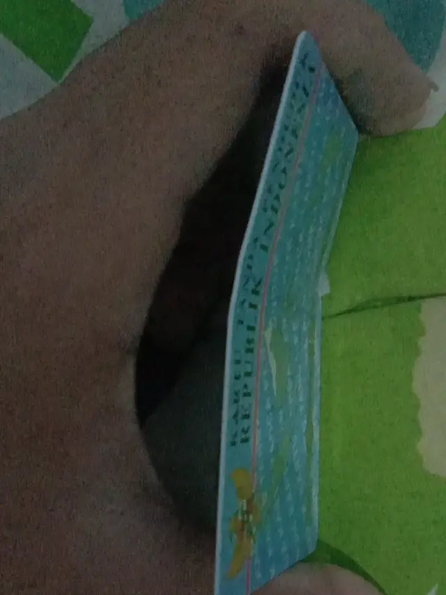 Penampakan E-KTP yang bikin prihatin. (Sumber: Twitter/selalujae)