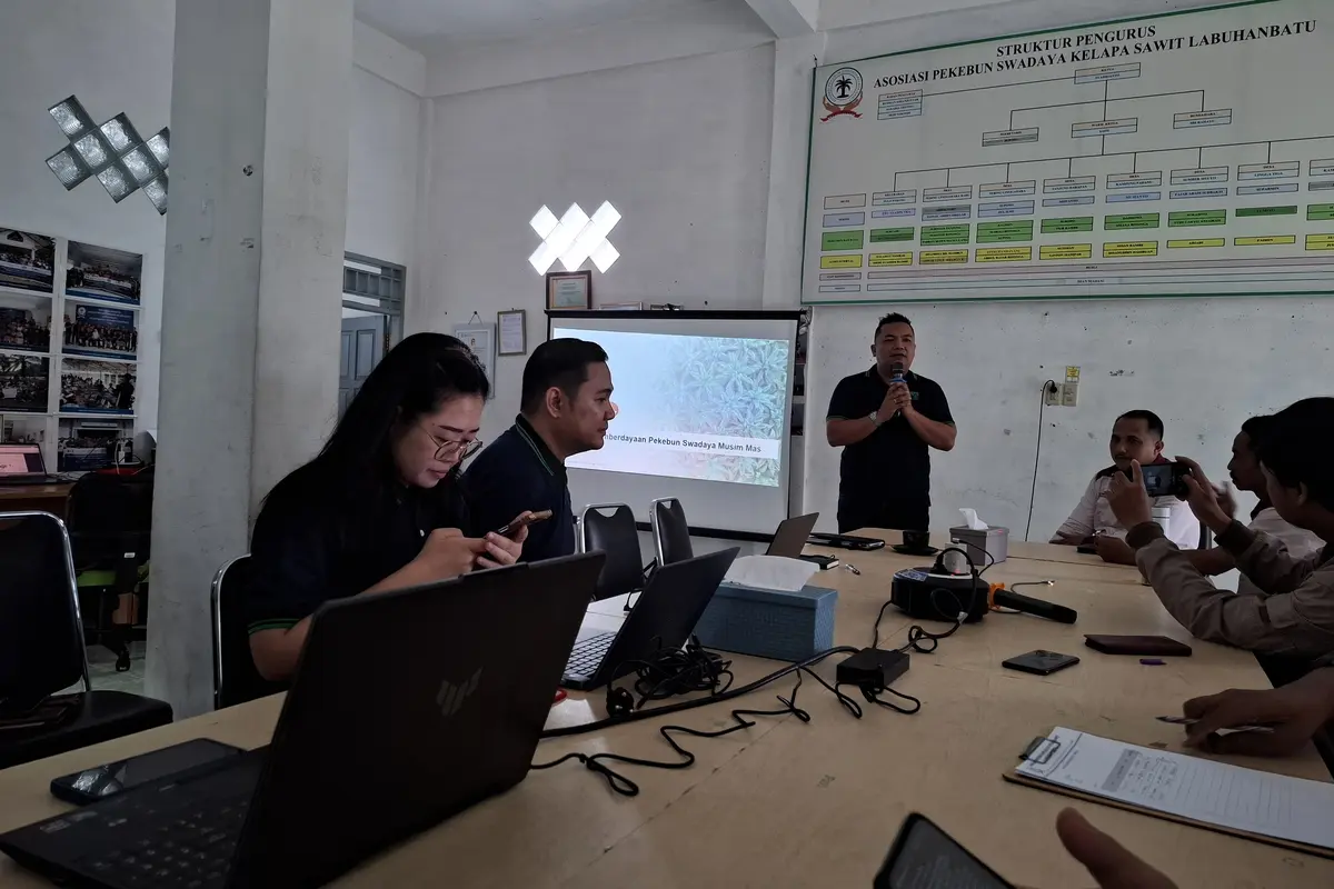 Strategi Musim Mas Topang Pekebun Swadaya