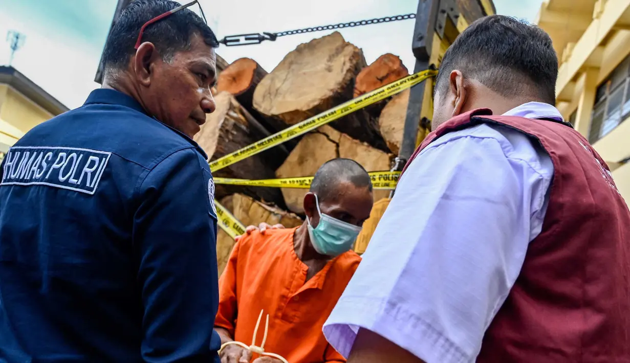 Polisi juga menahan satu tersangka terkait pengangkutan kayu ilegal hasil hutan lindung tersebut. (CHAIDEER MAHYUDDIN/AFP)