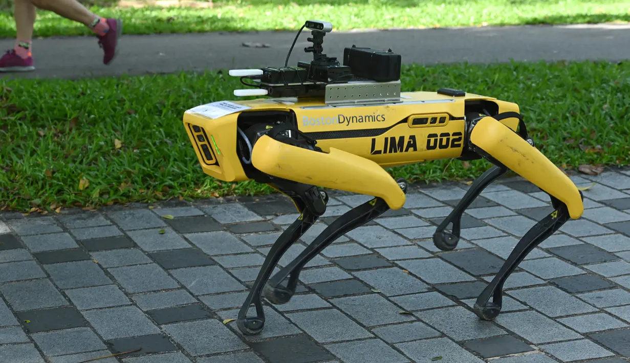 Sebuah robot berkaki empat yang mirip anjing, Spot terlihat selama uji coba dua minggu di Bishan-Ang Moh Kio Park, Singapura pada 8 Mei 2020. Robot itu menyiarkan pesan untuk mengingatkan warga untuk melakukan jaga jarak di tengah pandemi virus corona. (Roslan RAHMAN/AFP)
