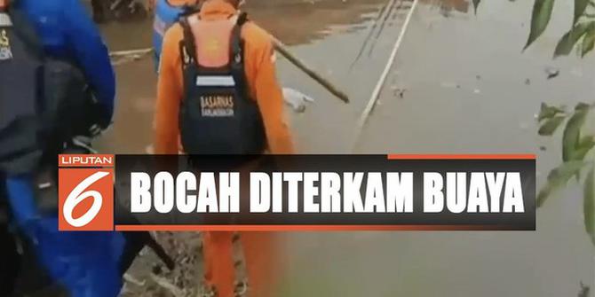 Bocah 1 Tahun di Kotawaringin Timur Tewas Diduga Disambar Buaya