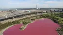 Penampakan danau di Melbourne, Australia yang berubah warna menjadi pink pada foto yang dirilis pada 9 Maret 2017. Perubahan warna danau tersebut dikarenakan tingginya suhu dan rendahnya curah hujan datang ke kawasan sana. (facebook.com/ParksVictoria)