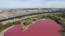 Penampakan danau di Melbourne, Australia yang berubah warna menjadi pink pada foto yang dirilis pada 9 Maret 2017. Perubahan warna danau tersebut dikarenakan tingginya suhu dan rendahnya curah hujan datang ke kawasan sana. (facebook.com/ParksVictoria)