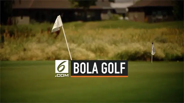VIDEO: Bocah 6 Tahun Tewas Terkena Bola Golf Ayahnya