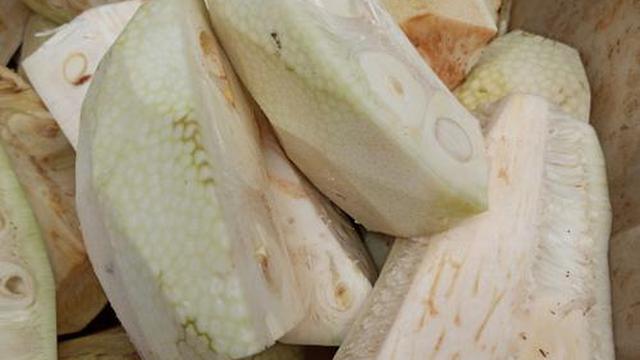 Nangka Muda atau Tewel