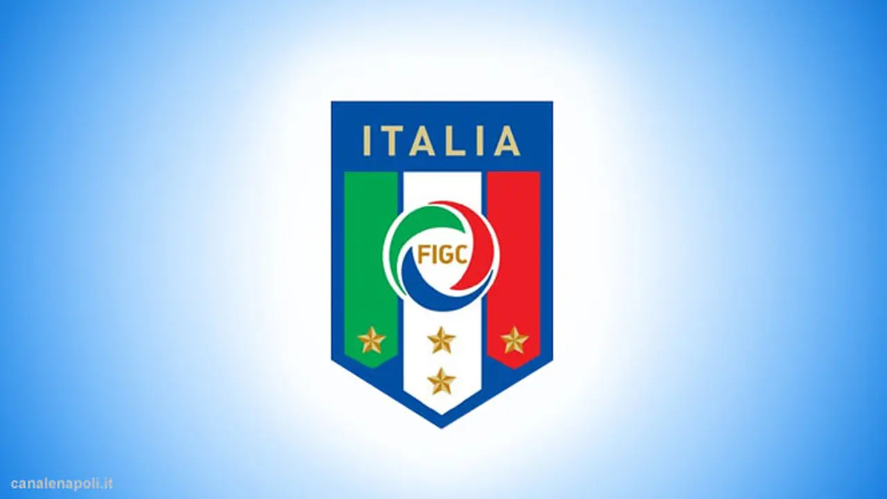 figc-130426b.jpg