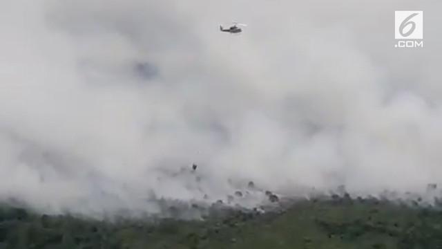 Berita Kebakaran Hutan Di Kalimantan Hari Ini - Gue Viral