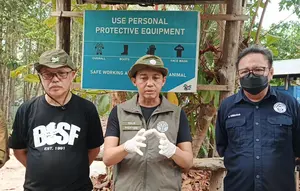 Menhut Minta Tetap Waspada Kebakaran Hutan Meski Titik Panas Menurun