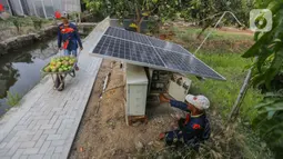 Pemberdayaan dilakukan dengan mengembangkan budidaya mangga jenis Agrimania. (Liputan6.com/Angga Yuniar)