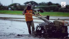 Kawasan Cakung, Jakarta Timur miliki 9 hektar sawah. Petani penggarap harus menyediakan modal untuk bisa bertani.