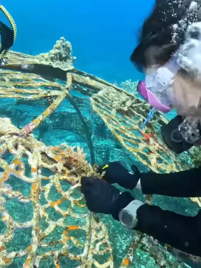 Prilly Latuconsina menyelam. (Foto: Instagram/prillylatuconsina96)