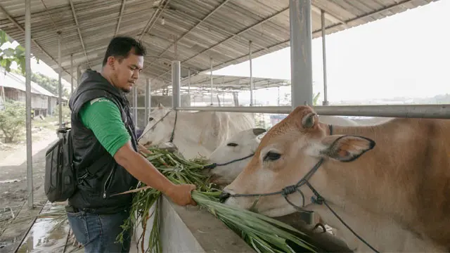 Ajak Generasi Muda Peduli Lingkungan jadi Fokus 12th SATU Indonesia Awards 2021