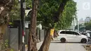 Poster revitalisasi menempel pada pohon yang berada di jalur pedestrian Jalan Kramat Raya, Jakarta, Jumat (8/11/2019). Sepanjang pengerjaan jalur pedestrian, pohon yang berada di jalur tersebut rencananya juga akan direvitalisasi dan diremajakan. (Liputan6.com/Immanuel Antonius)