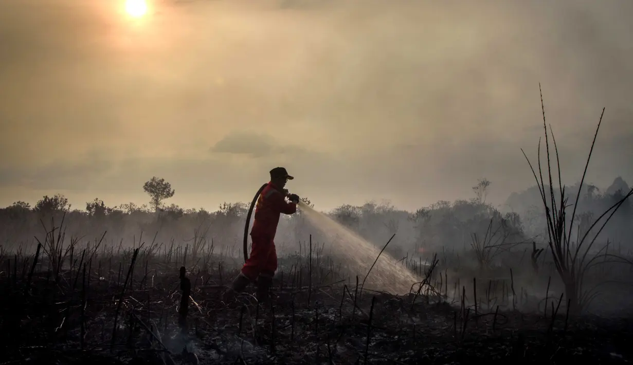 Setelah sempat padam dalam dua hari terakhir, api kembali menyala dan semakin membesar pada Minggu (20/7/2025) siang. (Wahyudi/AFP)