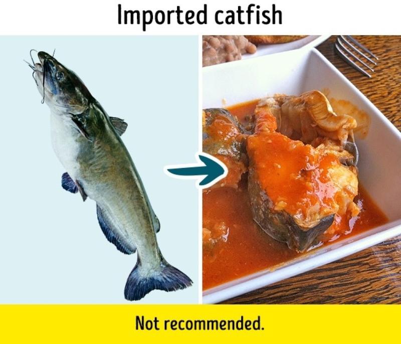 Berkaitan peredaran penyakit yang dengan darah yang memiliki kurang dikonsumsi ikan seseorang adalah jenis baik Seputar Whey