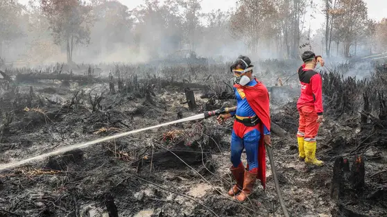 Klarifikasi Pemerintah Soal Bantuan Kebakaran Hutan Malaysia dan Jepang