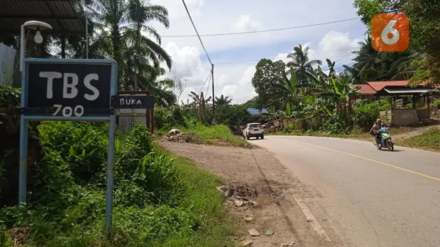 TBS Sawit