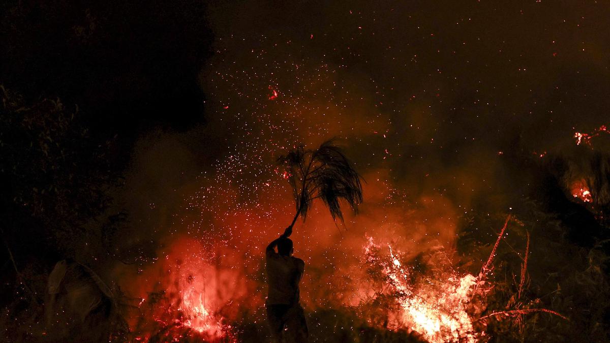 Kebakaran Hutan Besar Landa Portugal, 650 Petugas Pemadam Dikerahkan