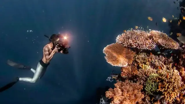 Potret Dikta Freediving di Pulau Menjangan, Menikmati Pemandangan di Bawah Laut. (Sumber: Instagram/dikta)