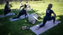 Seekor babi berperut buncit bersantai di rumput ketika orang-orang berpartisipasi dalam sesi yoga dengan babi selama penggalangan dana amal di The Happy Herd Farm Sanctuary, di British Columbia, Kanada, 26 Juli 2020. (Darryl Dyck/The Canadian Press via AP)