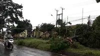 Pohon tumbang melintang tak jauh dari Mapolsek Cileungsi. (Liputan6.com/Achmad Sudarno)