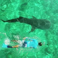 Maldives. (luxresorts.com)