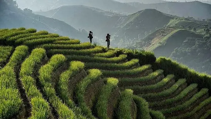 [Bintang] Jawa Barat