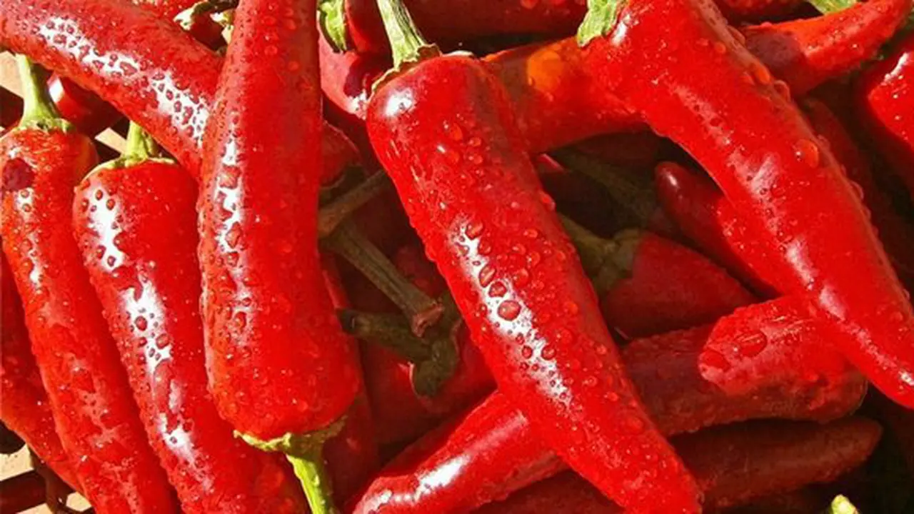 Bahaya makan pedas/copyright Pexels.com