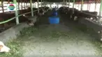 Hamparang padang luas rumput menjadi daya tarik lokasi wisata satu ini.