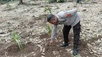 Viral Warga Lampung Timur Temukan Jejak Diduga Harimau Sumatera, Ini Penjelasan BKSDA