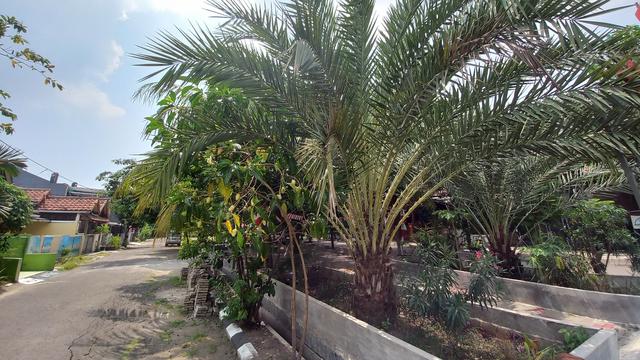 Foto dengan kamera ultra wide di Samsung Galaxy M22 (Liputan6.com/Giovani Dio Prasasti)