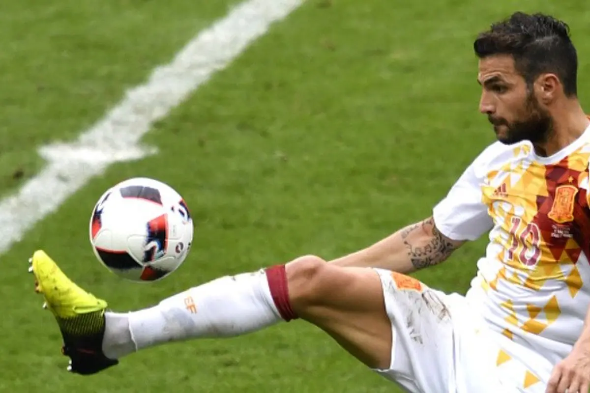 cesc fabregas