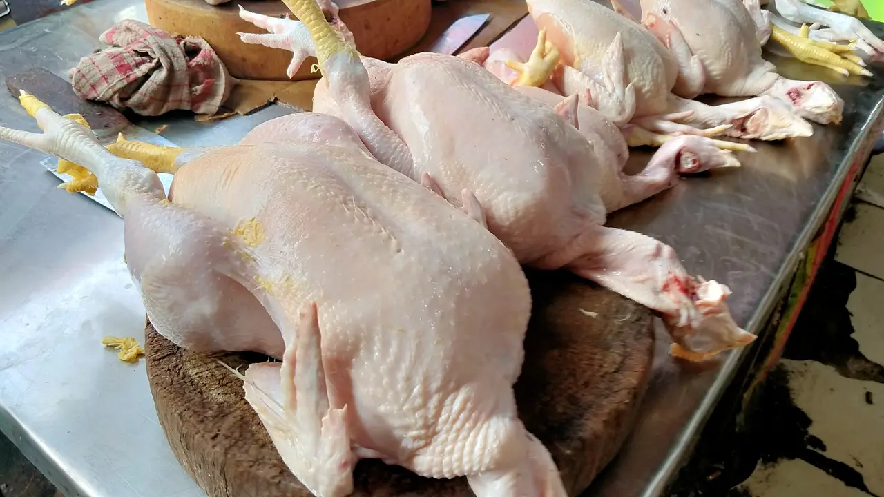 Curhat Pedagang Ayam Soal Harga Daging Masih Tinggi