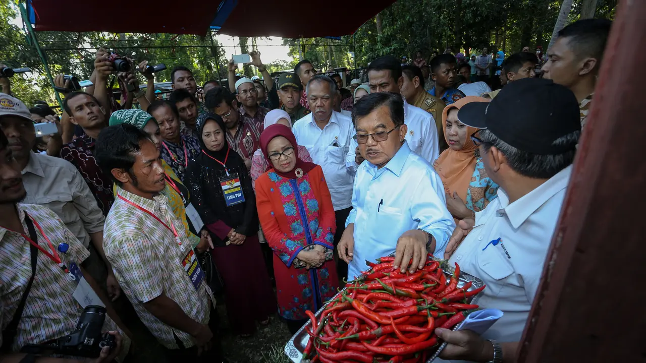 Kunjungan JK
